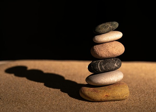 Le régime végan: solution pour combattre les maladies chroniques ?