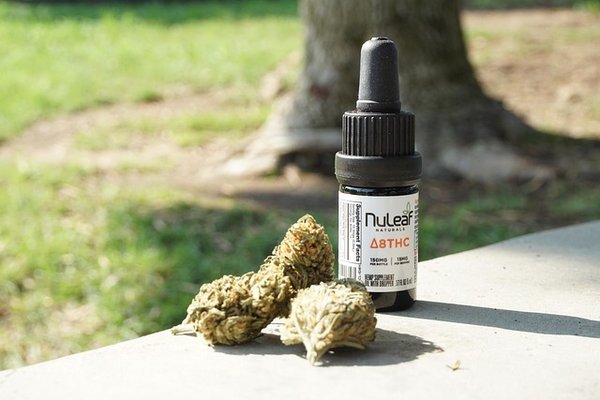 Découvrez notre avis sur weed side story et ses produits cbd